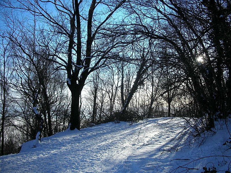 Paesaggi invernali dal Monte Maddalena (BS)